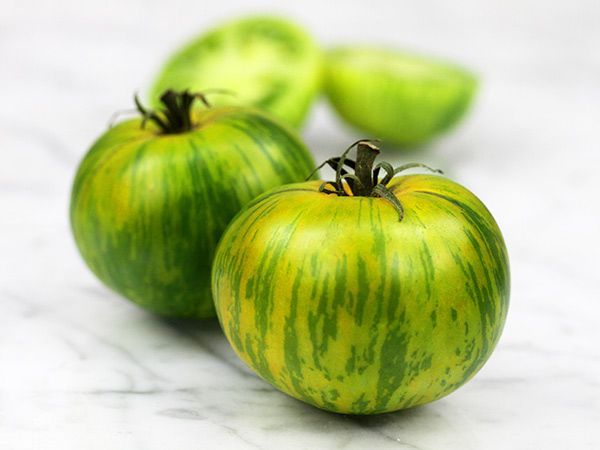 Green Zebra Tomato